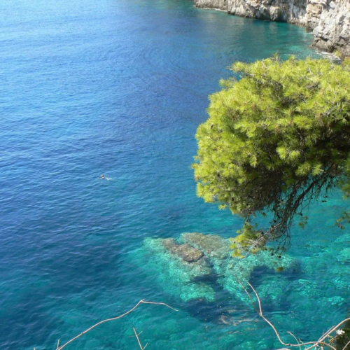 Kvarner Adventures – izleti brodom, luksuzni apartmani i savršen smještaj u srcu Kvarnera